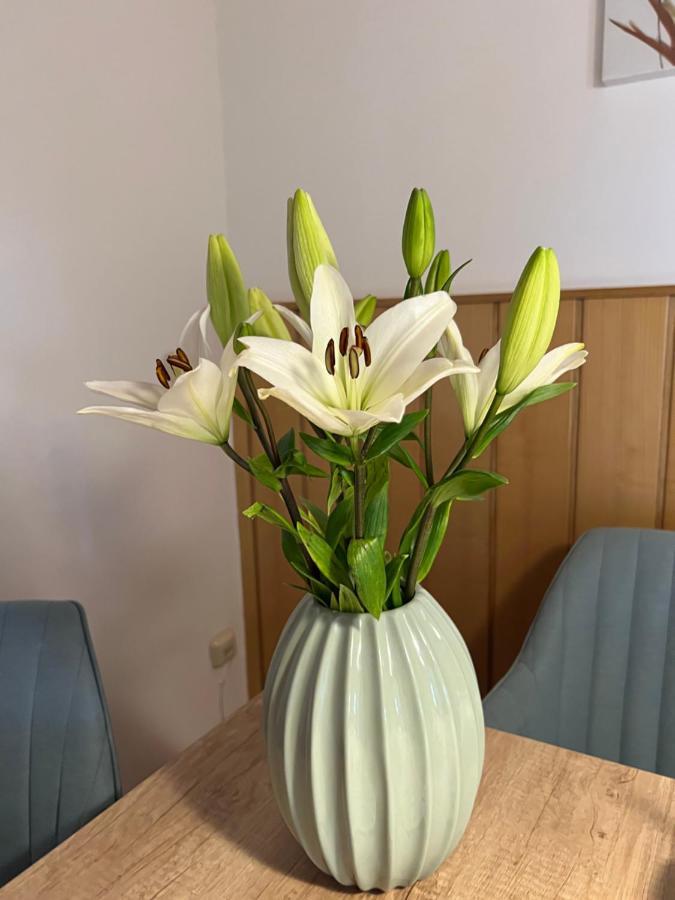 Apartament Acasa Spielberg Bei Knittelfeld Buitenkant foto