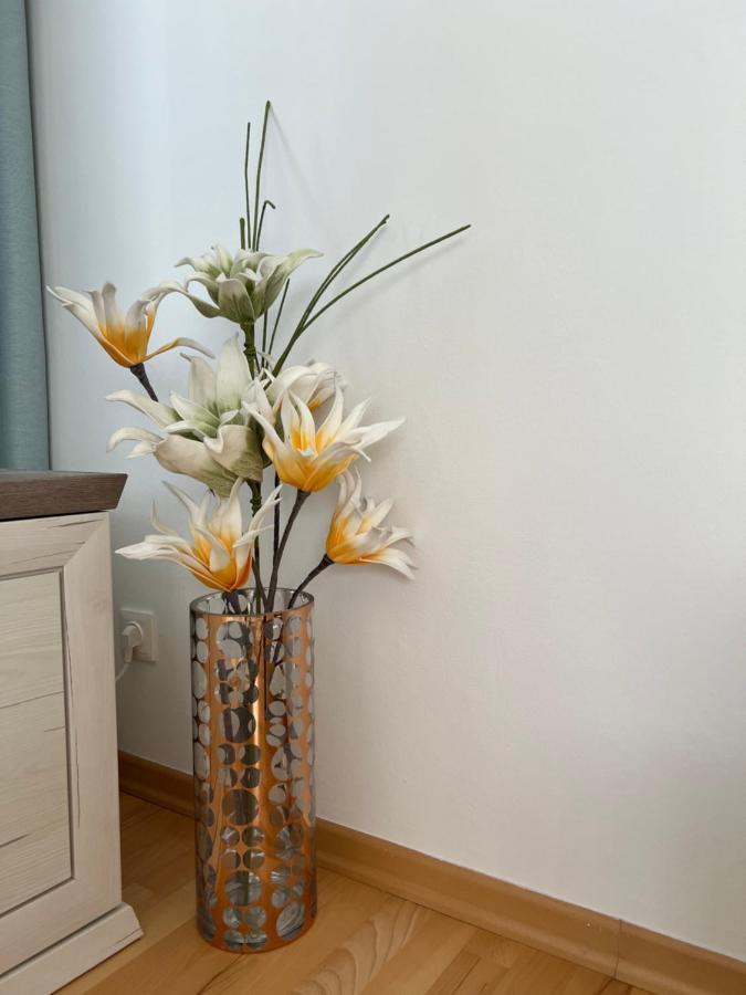 Apartament Acasa Spielberg Bei Knittelfeld Buitenkant foto